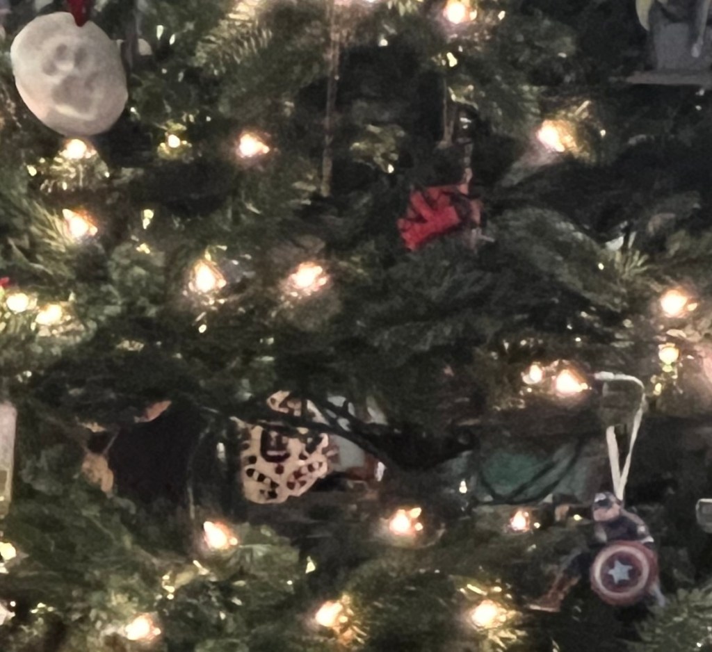 Winter Bucket List&nbsp;Update