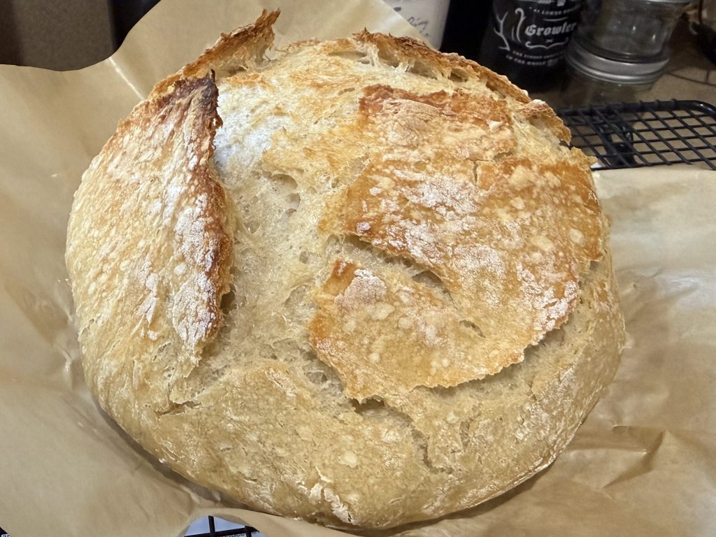 From No-Knead to All the Extras: A Cozy Scratch-Made Experiment