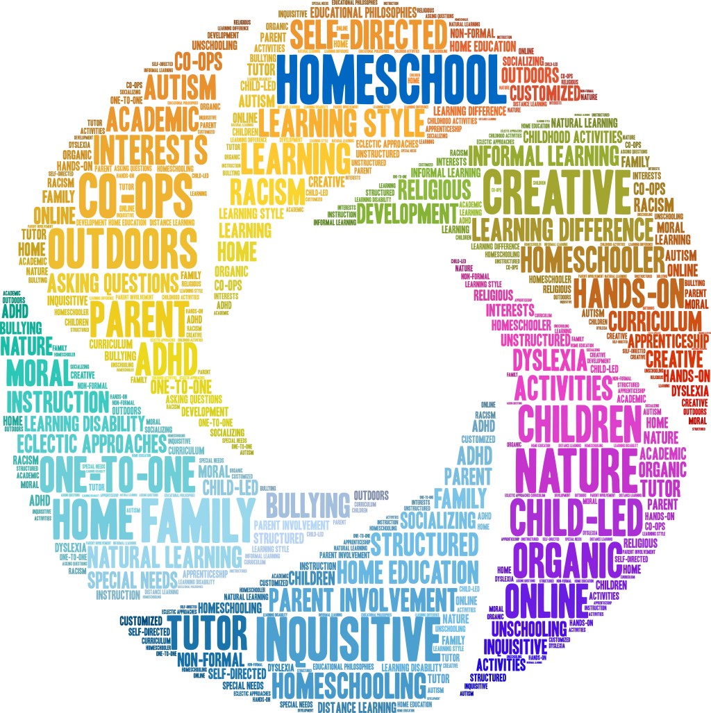 Progress Over Placement: Our Homeschool Midyear Reflection